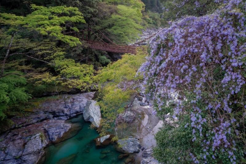 四国旅行のhub拠点 古民家ゲストハウス Heso Camp Miyoshi  Zewnętrze zdjęcie